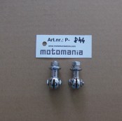 A Number Plate Holder Screw